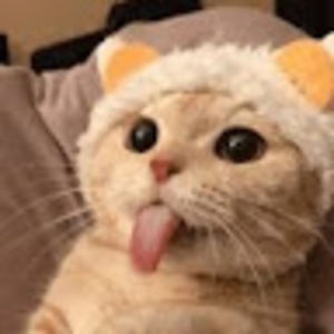 Meet your Posher, Malayla